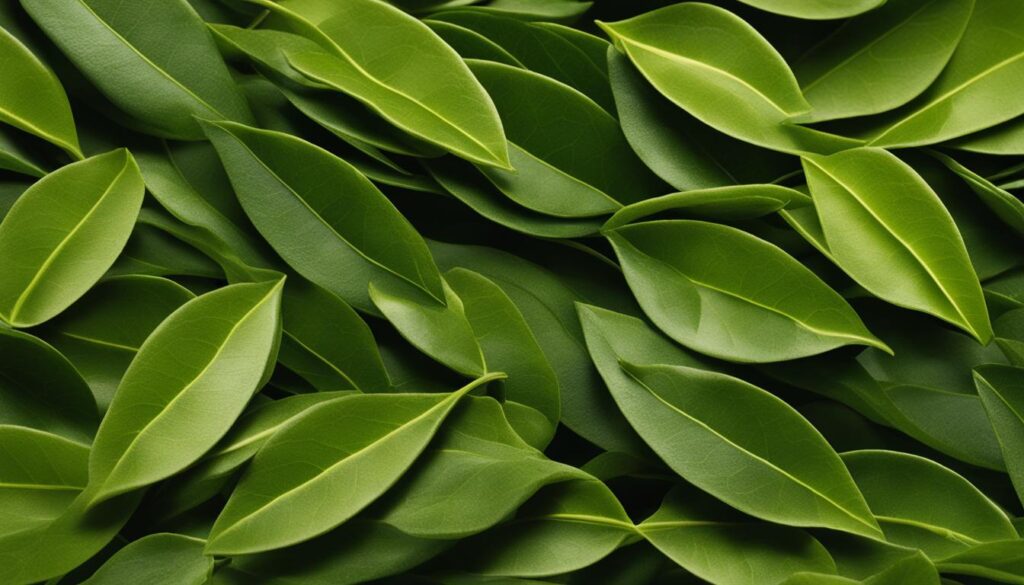 green tea varieties with highest/lowest caffeine green tea varieties with highest/lowest caffeine
